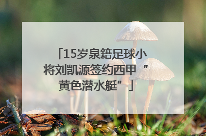 15岁泉籍足球小将刘凯源签约西甲“黄色潜水艇”